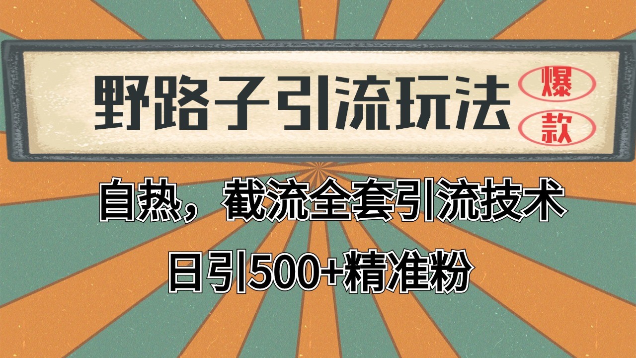 2024首发野路子引流玩法截流自热全平台打法，全自动引流【日引2000+精准客户】-玖哥网创