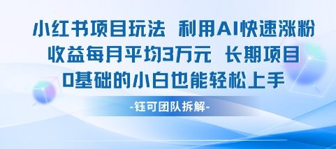 适合小白操作的小红书新项目，利用AI快速涨粉，收益每月平均1W+-玖哥网创