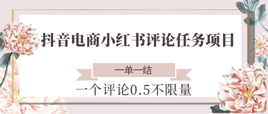 抖音电商小红书评论任务项目，一个评论0.5，一单一结 不限量-玖哥网创