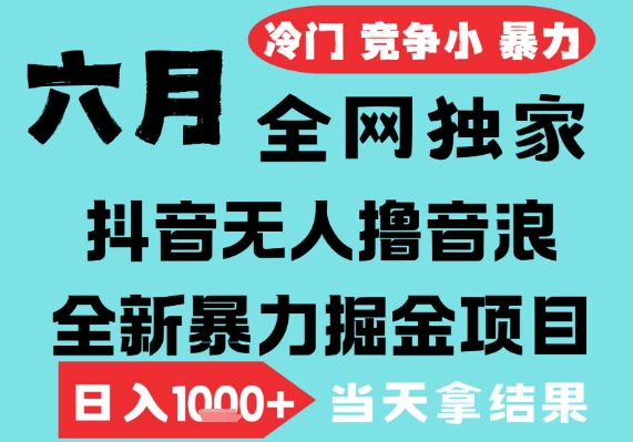 2025年6月高爆抖音无人直播最新撸音浪掘金项目，无脑日入1k+，低门槛小白可做，可矩阵放大【揭秘】-玖哥网创