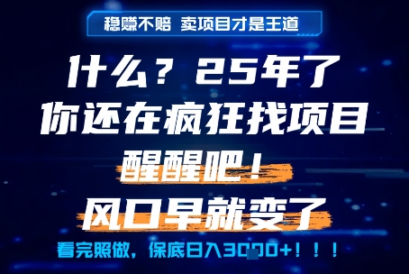什么？25年你还在疯狂找项目做，醒醒吧，看完这些你全都懂了！【揭秘】-玖哥网创