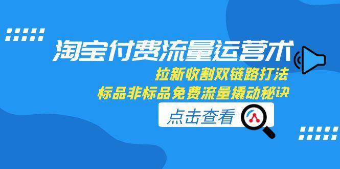 （15135期）淘宝付费流量运营术，拉新收割双链路打法，标品非标品免费流量撬动秘诀-玖哥网创