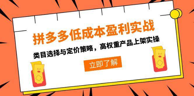（15143期）拼多多低成本盈利实战，类目选择与定价策略，高权重产品上架实操-玖哥网创