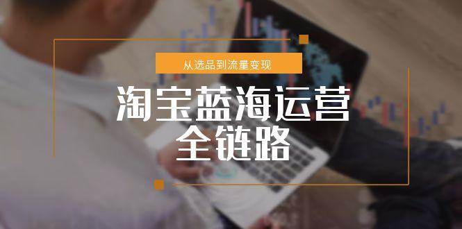 （15160期）淘宝蓝海运营全链路，从选品到流量变现，小类目突围完整方案-玖哥网创