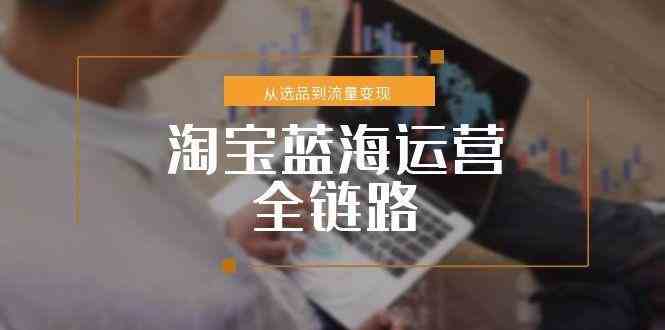 淘宝蓝海运营全链路，从选品到流量变现，小类目突围完整方案-玖哥网创