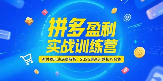 （15183期）拼多多盈利实战训练营，强付费玩法深度解析，2025最新运营技巧合集-玖哥网创