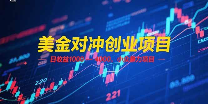 （15187期）美金对冲创业项目，日收益 1000 – 4000，小众暴力项目-玖哥网创