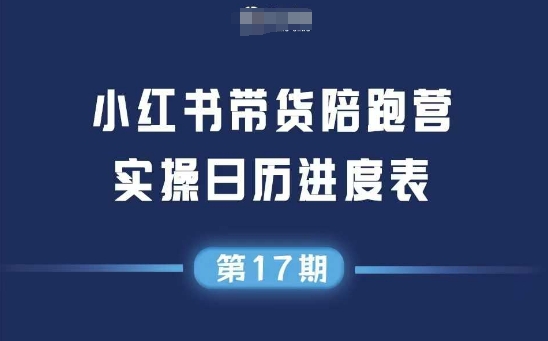 小红书第17期带货陪跑营，不囤货，无不直播，无不投流，通过选品+笔记内容+测品+笔记铺量+矩阵运营打爆款-玖哥网创