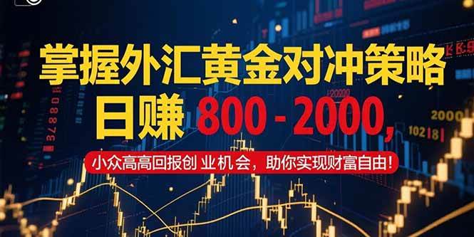 （15198期）掌握外汇黄金对冲策略，日赚 800 – 2000，小众高回报创业机会，助你实…-玖哥网创