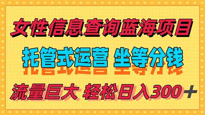 （15216期）稳定日入300＋，小众信息查询蓝海项目，全程懒人式托管，解放你的时间-玖哥网创