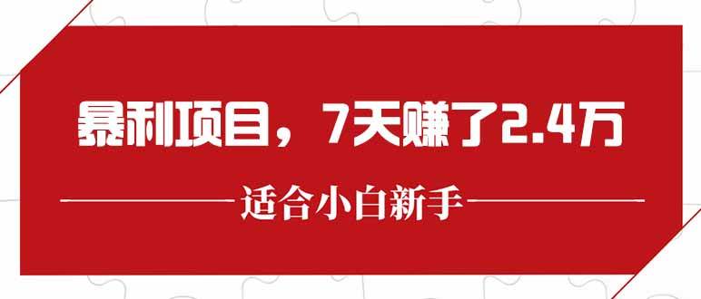 （15228期）最新暴利项目，每单收益轻松在300以上，7天赚了2.4万-玖哥网创
