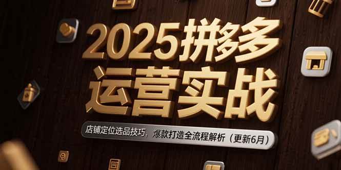（15235期）2025拼多多运营实战：店铺定位选品技巧，爆款打造全流程解析（更新6月）-玖哥网创