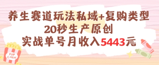 养生赛道玩法私域+复购类型，20秒生产原创实战单号月收入5k+-玖哥网创