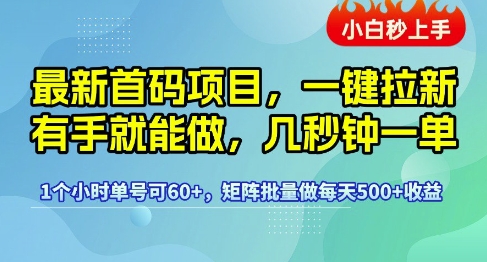 最新首码项目，一键拉新有手就能做，几秒钟一单，1个小时单号可60+，矩阵批量做每天5张【揭秘】-玖哥网创