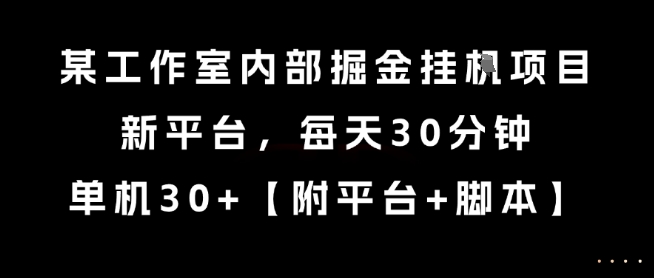 某工作室内部掘金挂G项目，新平台，每天30分钟，单机30+【揭秘】-玖哥网创